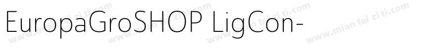 EuropaGroSHOP LigCon字体转换